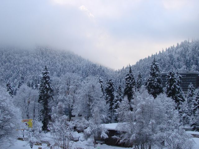 DSC06230.JPG