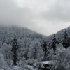 DSC06231.JPG