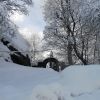 DSC06246.JPG