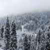 DSC06232.JPG