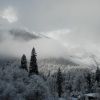 DSC06237.JPG