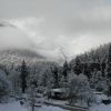 DSC06236.JPG
