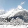 DSC06271.JPG