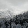 DSC06239.JPG