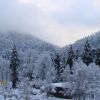 DSC06230.JPG