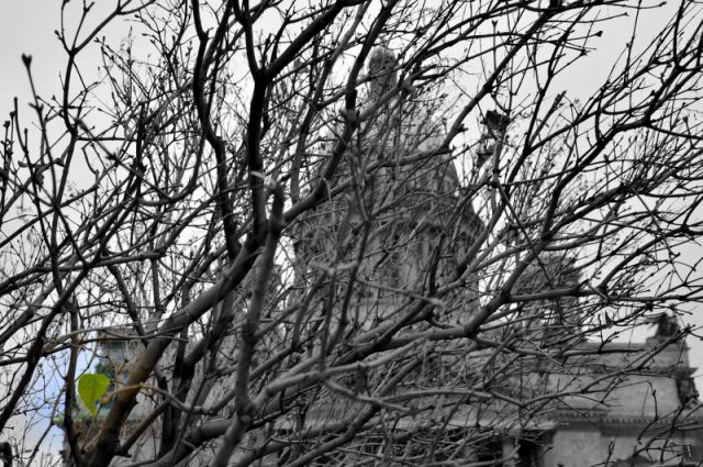 DSC_4291.JPG