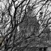 DSC_4291.JPG
