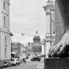 DSC_4316wb.JPG