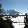 IMG_0561.JPG