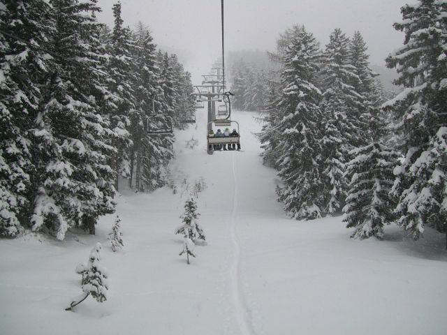 Снегопад 20 декабря 2011