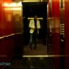 DSC09827.jpg