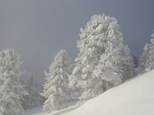 DSC00720.JPG