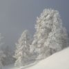 DSC00720.JPG