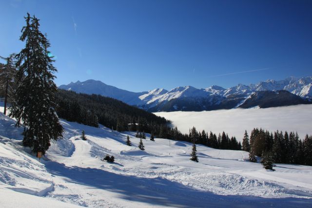 IMG_5116.jpg
