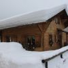 IMG_4916.jpg