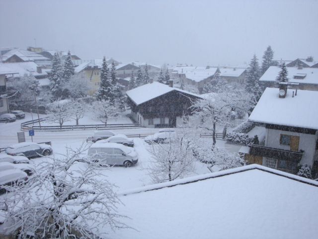DSC00907.JPG