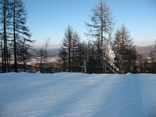 IMG_0201.JPG