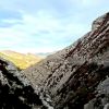 DSC00697.jpg