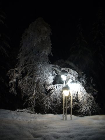 P1000217.JPG
