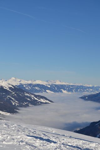 DSC_0844.JPG
