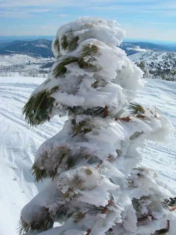 DSCN4083.JPG