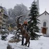 Вот такие там козлы ))) 