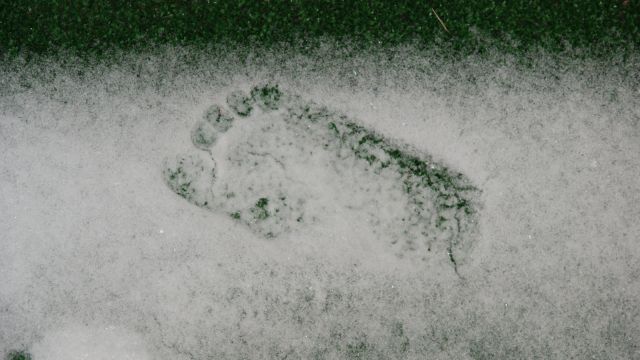След в истории