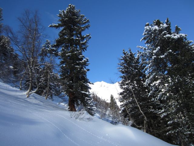 IMG_0650.JPG