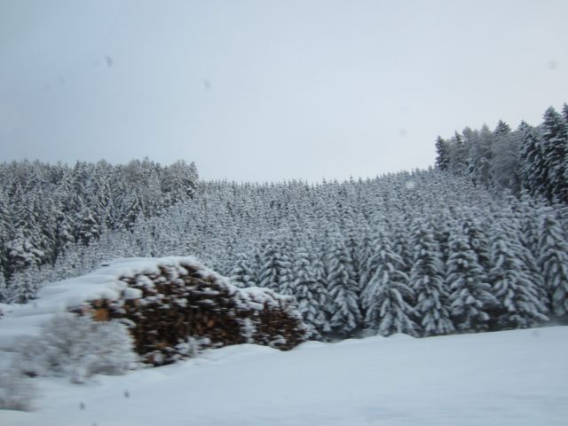 IMG_0615.JPG