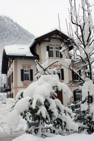 IMG_5178.jpg