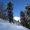 IMG_0650.JPG
