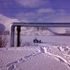 10032010094.jpg
