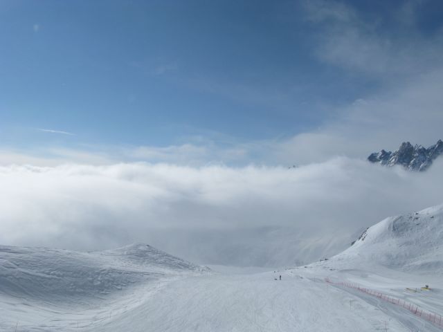 IMG_4566.jpg