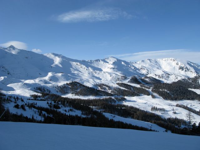 IMG_4479.jpg