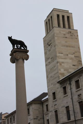 IMG_5379.jpg