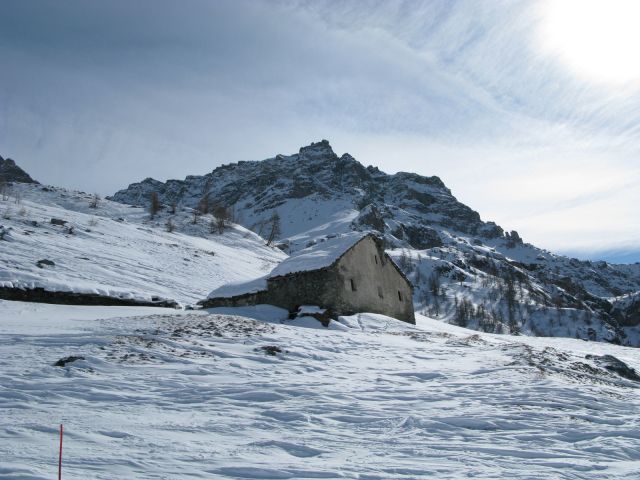 IMG_4538.jpg