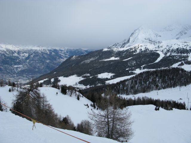 IMG_4493.jpg