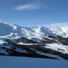 IMG_4479.jpg