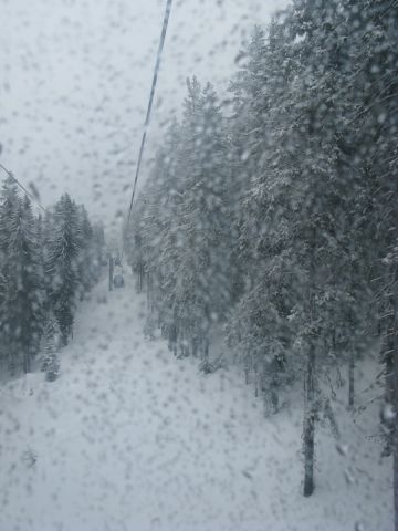 IMG_0711.JPG