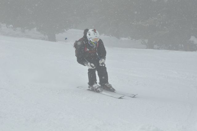DSC_6575.JPG
