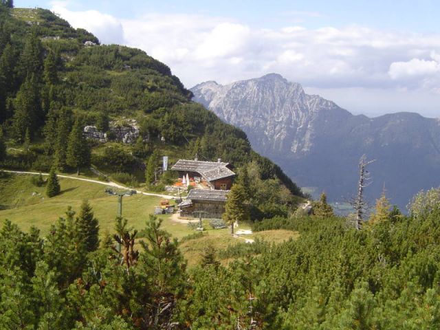 010.jpg