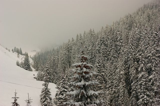 DSC04450фф.jpg