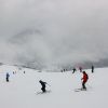 DSC04428aa.jpg