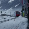 DSC04509фф.jpg