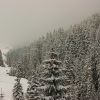 DSC04450фф.jpg