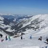 DSC04617фф.jpg