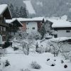 DSC04399aa.jpg