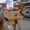 DSC09004.JPG