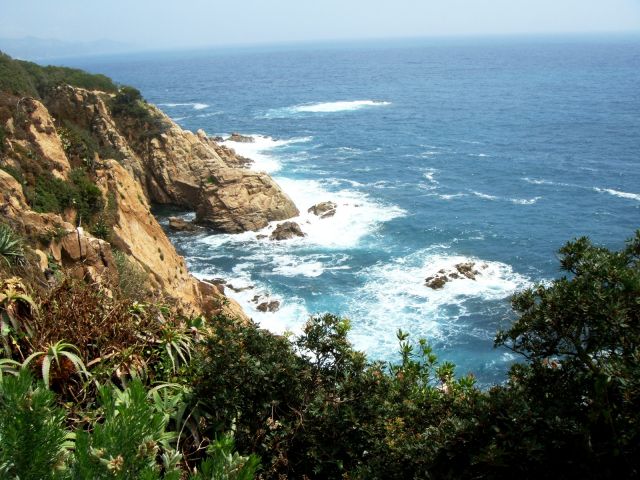 DSC06302.JPG