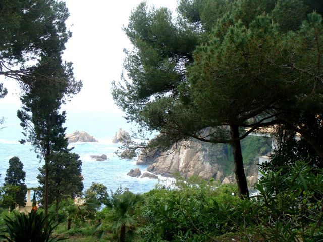 DSC06234.JPG